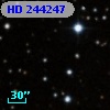 HD 244247