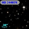 HD 244078