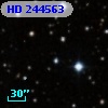 HD 244563