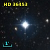 HD  36453