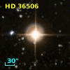 HD  36506