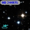 HD 244975