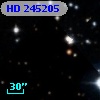 HD 245205