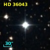 HD  36043