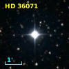 HD  36071