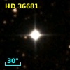 HD  36681