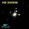 HD 244936