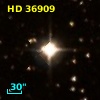 HD  36909
