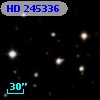 HD 245336
