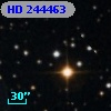 HD 244463