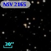NSV  2165