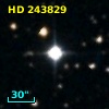 HD 243829
