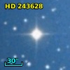 HD 243628