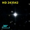 HD 243542