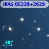 IRAS 05239+2829