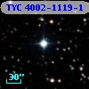TYC 4002-1119-1