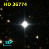 HD  36774