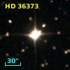 HD  36373