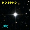 HD  36440