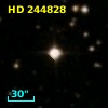 HD 244828