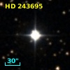 HD 243695