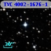 TYC 4002-1676-1