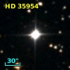 HD  35954