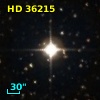 HD  36215