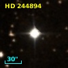 HD 244894
