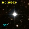 HD  36993