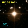HD  36307