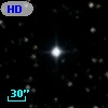 HD 244781