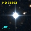 HD  36893