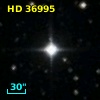HD  36995