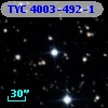 TYC 4003-492-1
