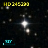 HD 245290