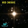 HD  36501