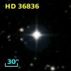 HD  36836