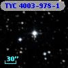 TYC 4003-978-1