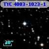 TYC 4003-1023-1