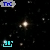 TYC 1310-1994-1