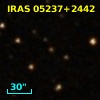 IRAS 05237+2442