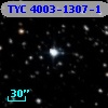 TYC 4003-1307-1