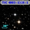TYC 4003-1318-1
