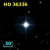 HD  36336