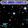 TYC 4003-1387-1