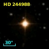 HD 244988