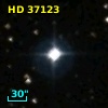 HD  37123