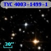 TYC 4003-1499-1