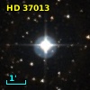 HD  37013